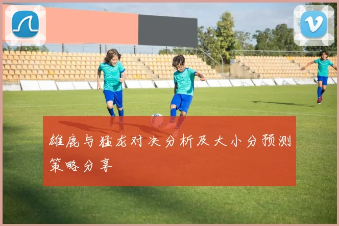 雄鹿与猛龙对决分析及大小分预测策略分享