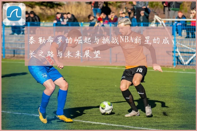 泰勒希罗的崛起与挑战NBA新星的成长之路与未来展望