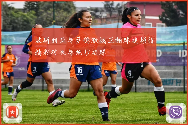 波斯利亚与萨德激战正酣球迷期待精彩对决与绝妙进球